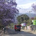 170_straatbeeld in Arusha